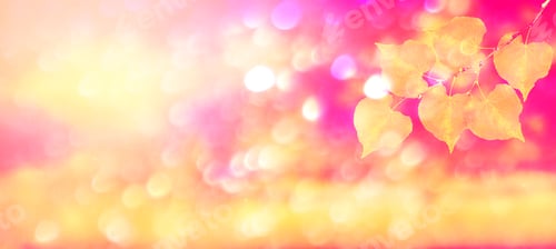 Preview: Autumn Landscape With Bright Colorful Leaves. Indian Summer.