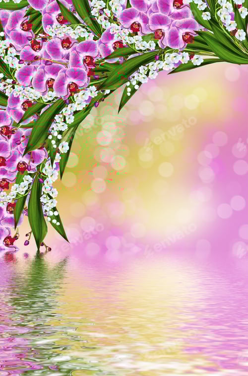 Preview: Branch Of Blooming Orchid Flowers. Delicate Flowers.