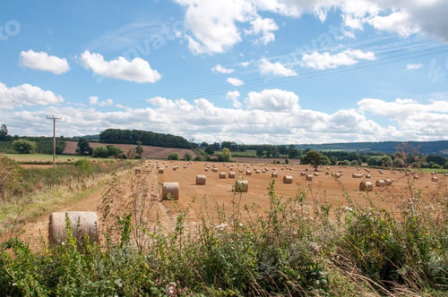 Preview: Summertime Straw Bales In The English Countryside.