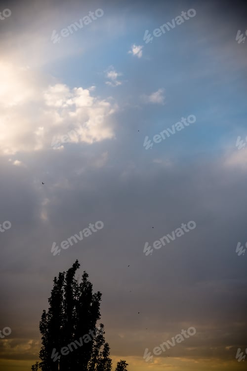 Preview: Landscape With Dramatic Light - Beautiful Golden Sunset With Saturated Sky And Clouds.
