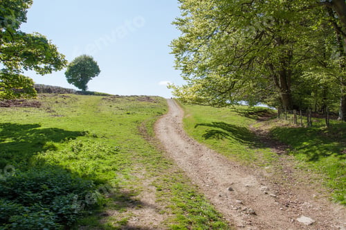 Preview: Hergest Ridge, United Kingdom In The Summertime.