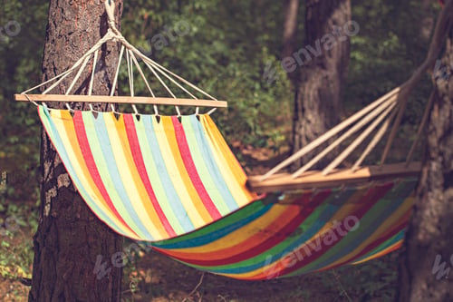 Preview: Colorful Striped Hammock Hanging Between Two Pines In The Woods. Weekend Away From The City