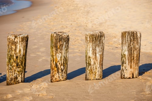 Preview: Breakwater On The Beach At Sunset, Close Up