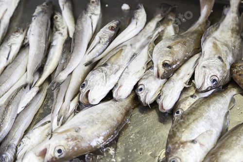 Preview: Fresh Fish In A Market, Detail Of An Old Market, Healthy Food