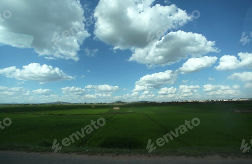 Preview: Green Rice Fields In Madagascar, With Blue Sky And White Clouds , During Dry Season In Africa