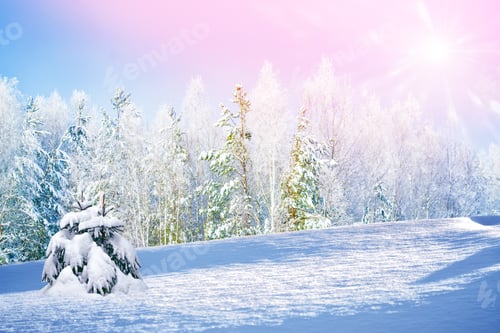 Preview: Blur.Frozen Winter Forest With Snow Covered Trees.