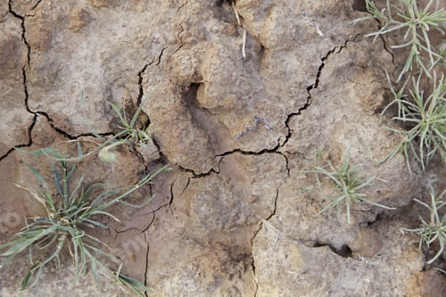 Preview: Dry Land In A Field, Detail Of A Drought, Climate Damage, Catastrophe, Textured Background