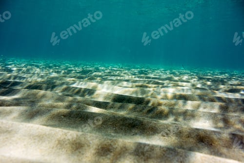Preview: Underwater Texture And Fauna In Ionian Sea, Zakynthos, Greece