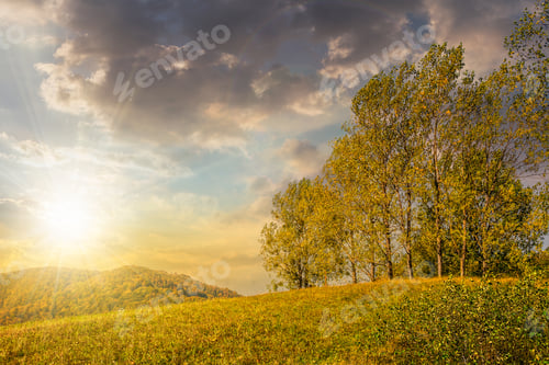Preview: Few Trees On Meadow On Hillside Near Forest In Early Autumn In Evening Light