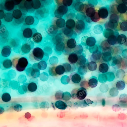 Visualização: Fundo abstrato colorido e elegante com luzes de bokeh. Pode ser usado como fundo de Natal