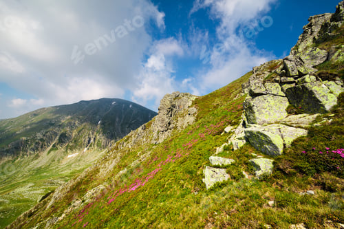 Preview: Landscape With Mohoru Peak Of Parang Mountains In Romania, In Summer
