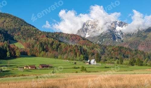 Preview: Natural Park Of Zelenci In Slovenia