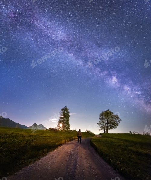 Preview: Milky Way And Trees