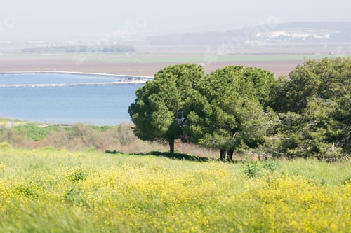 Preview: At Ein Afek Nature Reserve, Israel