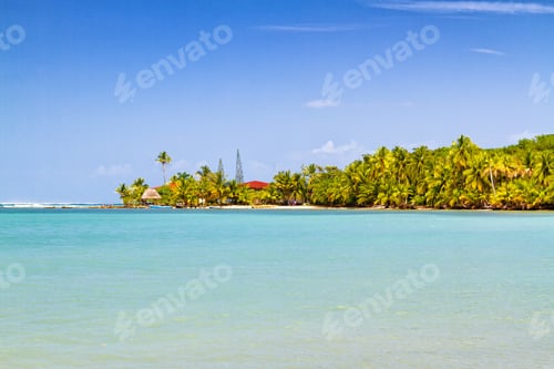 Preview: Star Fish Beach On Bocas Del Toro Island, Panama