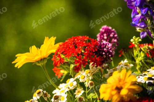 Preview: A Colorful Bouquet Of Bright Spring Flowers Of Various Types, Close-Up