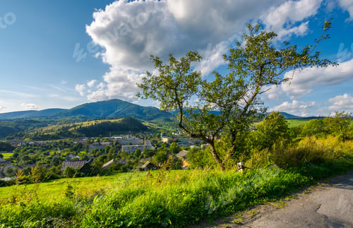 Preview: Tree On The Hill Above The Town In Valley. Beautiful Mountainous Countryside Weekend. Wonderful