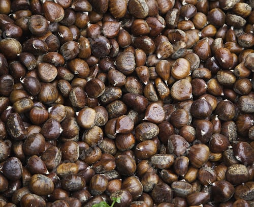 Preview: Lot Chestnuts, Chestnuts Piled Detail, Food