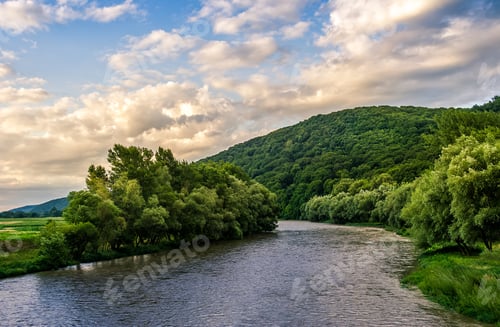 Preview: River Flows Among Of A Green Forest At The Foot Of The Mountain. Picturesque Nature Of Rural Area