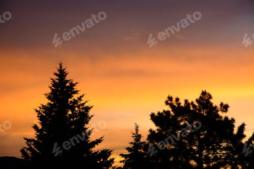 Preview: Vivid Sunset Sky