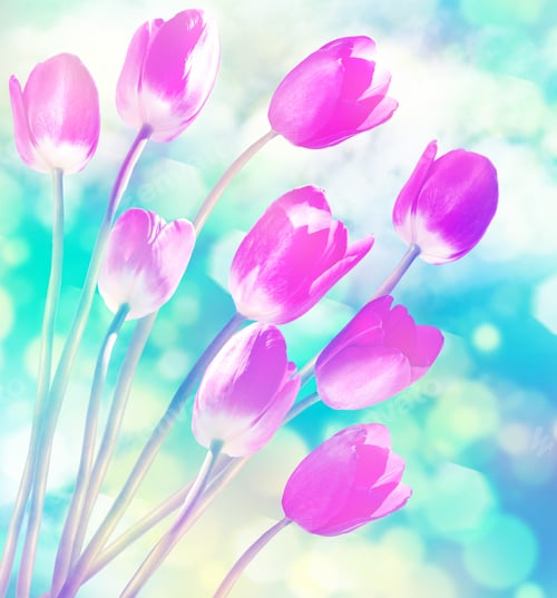 Preview: Spring Flowers Tulips