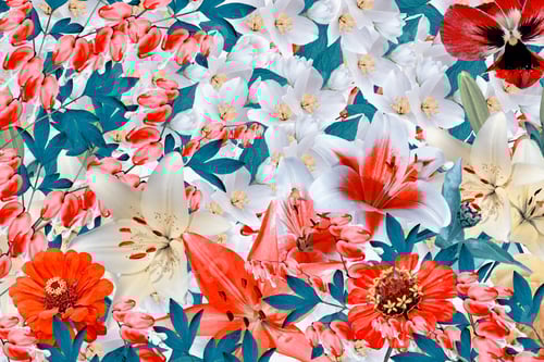 Preview: Floral Background Of Colorful Flowers. Colorful Flowers.