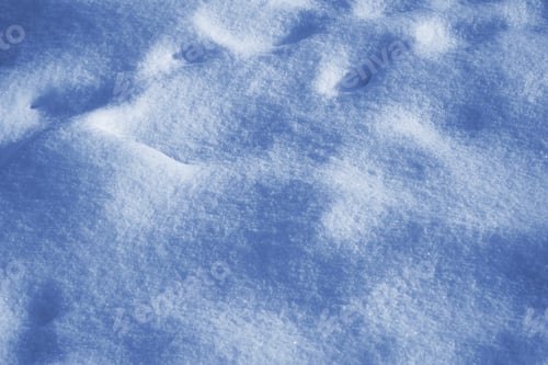 Preview: Fresh Snow Cover on a Sunny Winter Day
