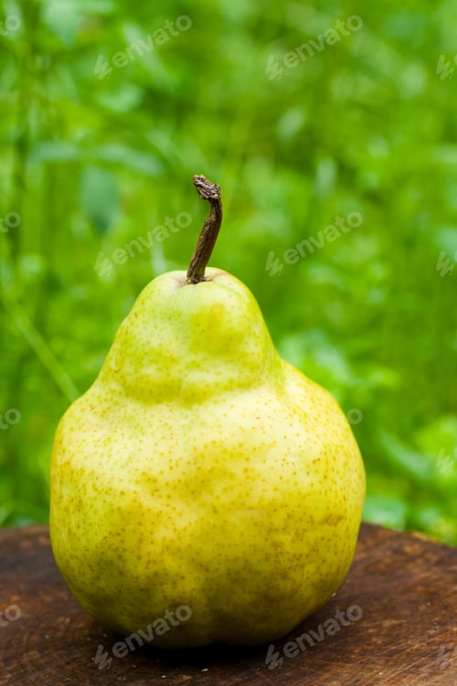 Preview: Single Pear On A Log Over Blurred Green Background