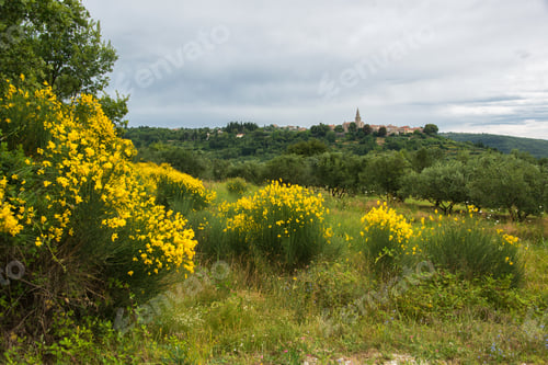 Preview: Medieval Town Of Groznjan In Croatia