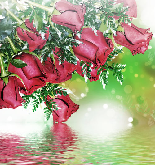 Preview: The Buds Of Flowers Roses. Holiday Card