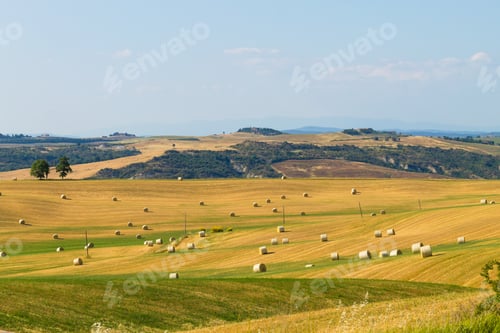 Preview: Tuscany Hills Landscape, Italy. Rural Italian Panorama.