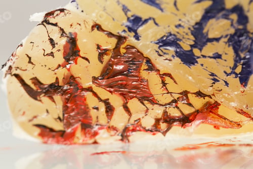 Preview: Abstract Compositions With Pomelo Slice With Paint For Oil Paintings And Reflexions