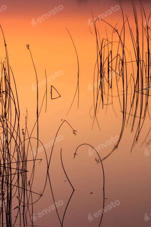 Preview: Colorful Lake. Water Background.