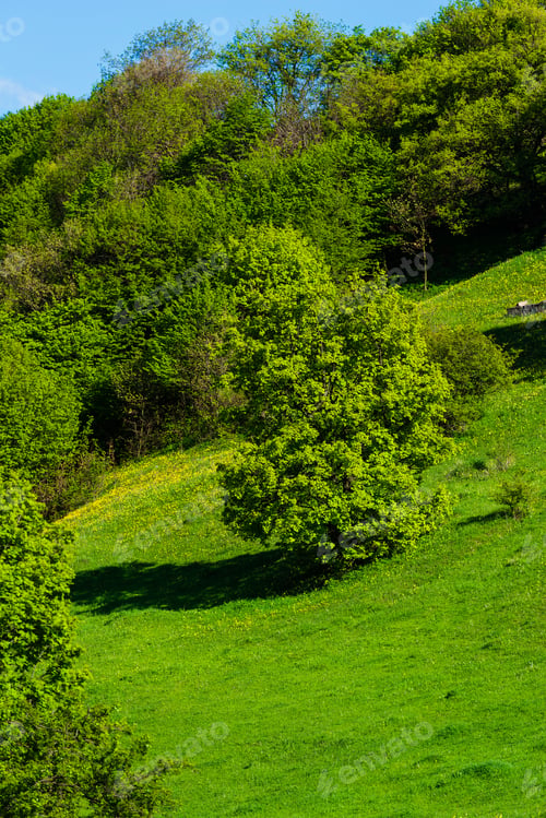 Preview: Beautiful Rural Landscape With Trees, Armenia