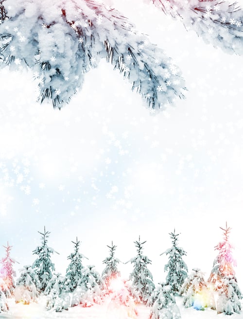 Preview: Winter Landscape. Background. Snow. Snow Covered Pine Branch