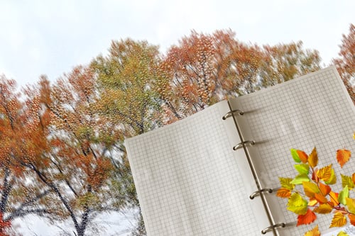 Preview: Bright Autumn Foliage On A White Sheet Of Paper