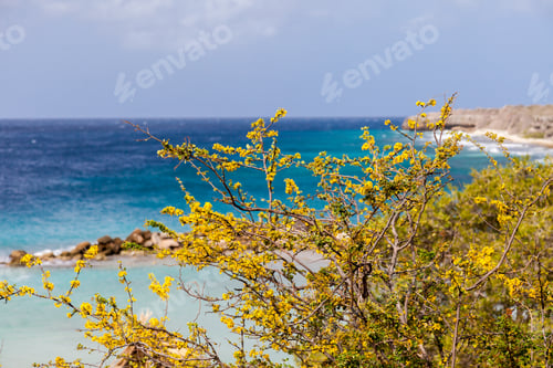 Preview: Sunset Waters A Deserted Closed Resort Curacao ( Dutch Antilles) An Island In The Caribbean Ocean