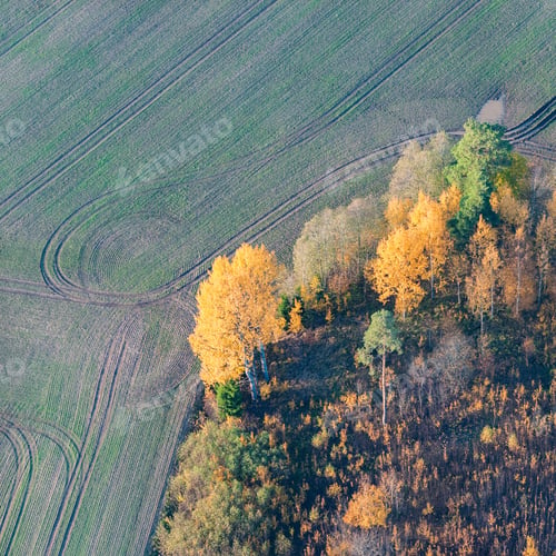 Preview: Aerial View Over The Colourful Trees And Fields In Autumn