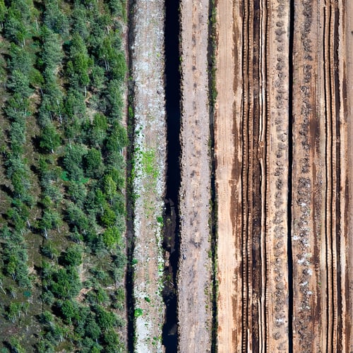 Preview: Aerial View Over Turf Yield