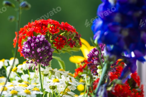 Preview: A Bouquet Of Bright Spring Flowers Of Various Types