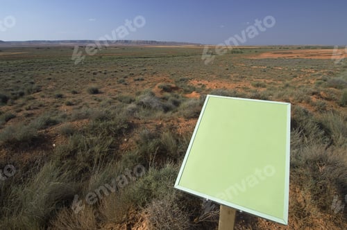 Preview: Green Signal In An Arid Landscape