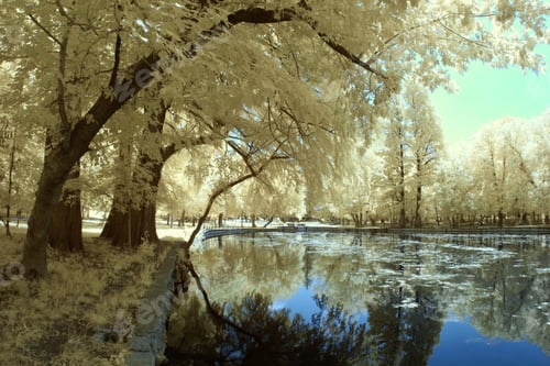 Preview: Infrared Landscape And Details