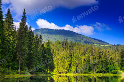 Preview: View On Lake Near The Pine Forest Early In The Morning On Mountain Background