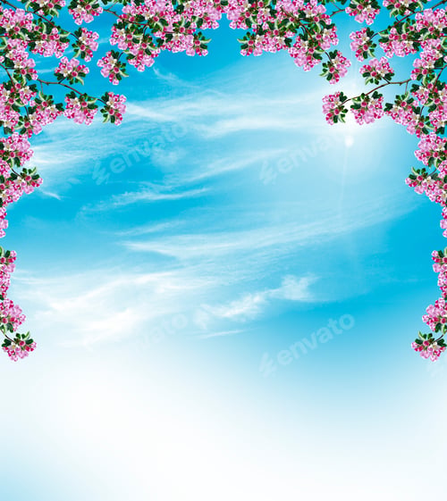 Preview: Spring Landscape. Orchard