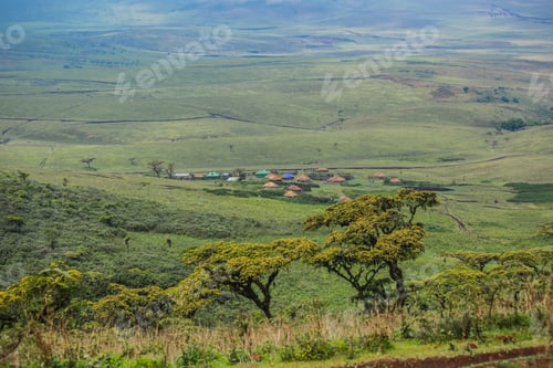 Preview: Masai Village In Ngorongoro Crater. Small Masai Huts In African Savanna, Tanzania