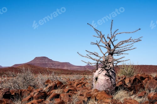 Preview: On The Road In Northwestern Namibia, Between Sesfontain And Twyfelfontain