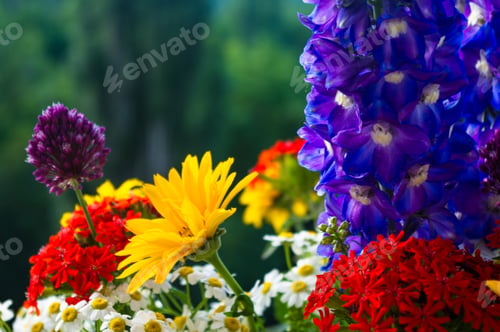 Preview: A Bouquet Of Bright Spring Flowers Of Various Types