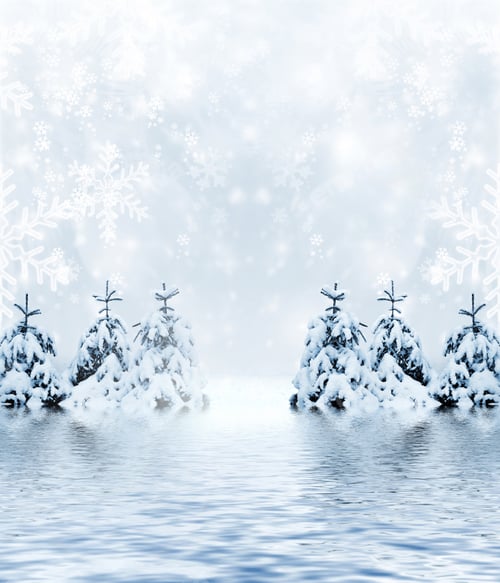 Preview: Winter Forest.