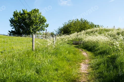 Preview: Countryside Hiking Trail Leading Uphill