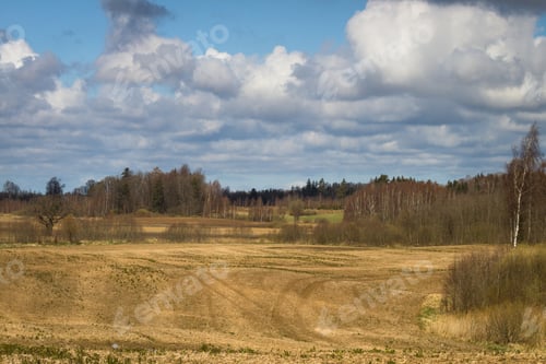 Preview: Processed Cereal Fields In Spring